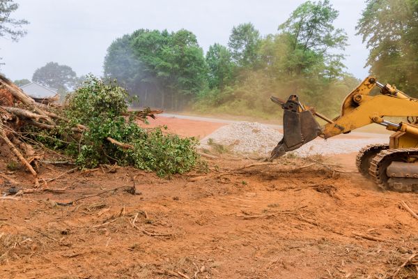 Ground Clearing in Lincoln