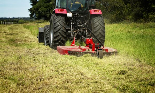 Brush Clearing Service in Lincoln
