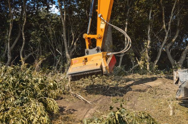 Brush Removal Service in Lincoln
