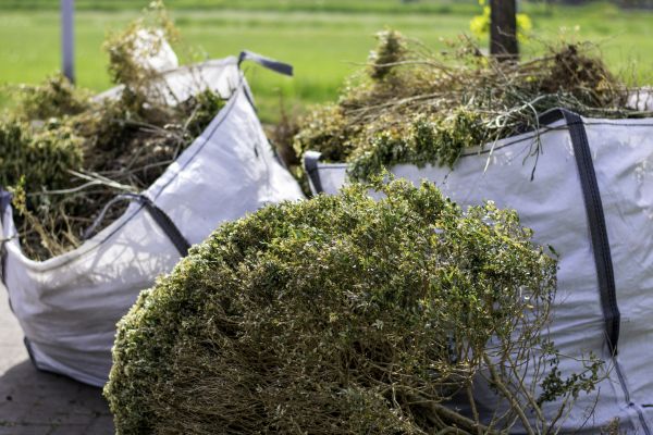Cost of Bushes Clearing in Lincoln
