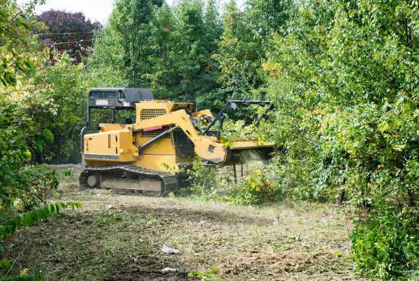 Pathway Clearing in Lincoln