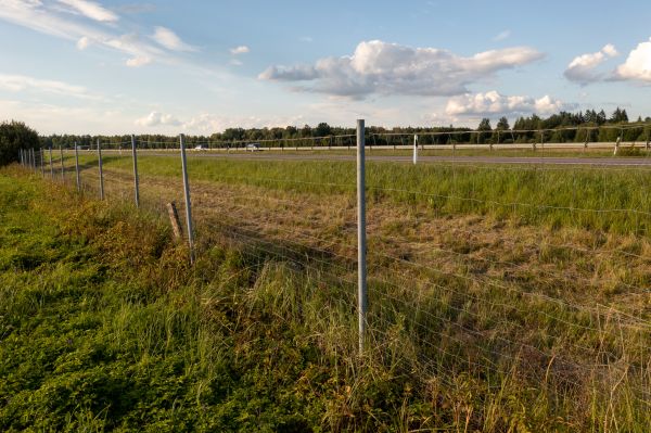 Cost of Property Line Clearing in Lincoln