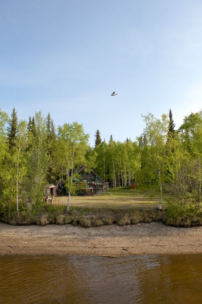 Waterfront Land Clearing in Lincoln