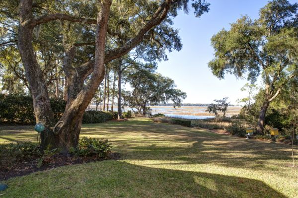 Lakefront Property Clearing in Lincoln