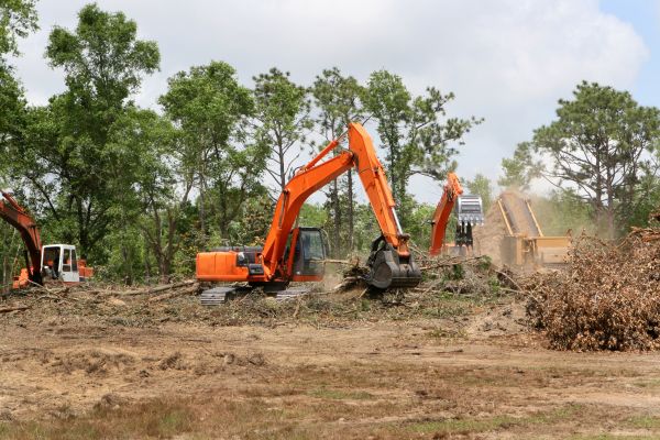 Cost of Commercial Lot Clearing in Lincoln