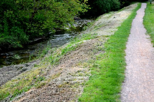 Cost of Trail Cutting in Lincoln
