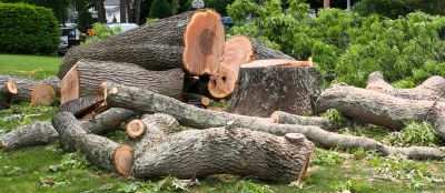 Land Clearing