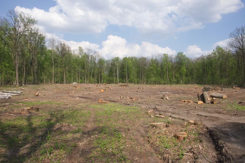 Acreage Clearing