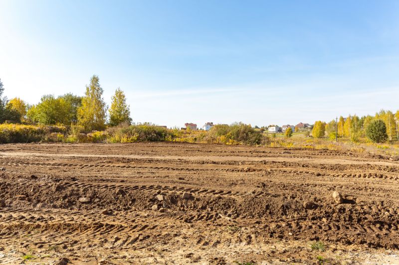 Commercial Site Clearing