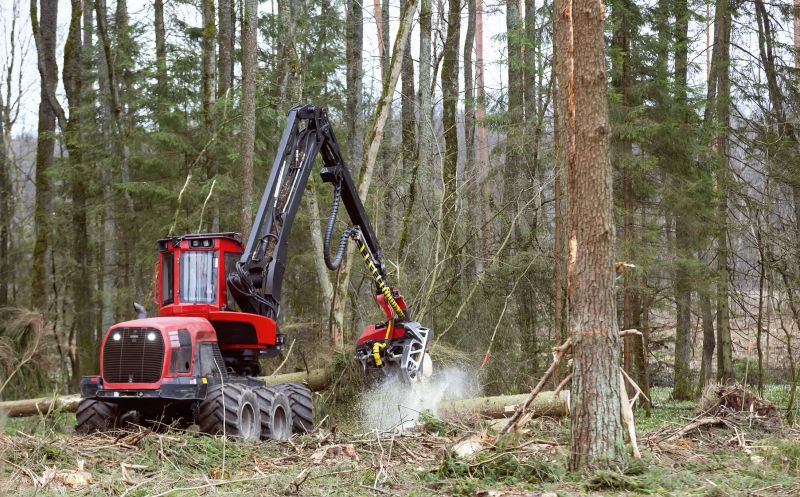 Forestry Clearing detail