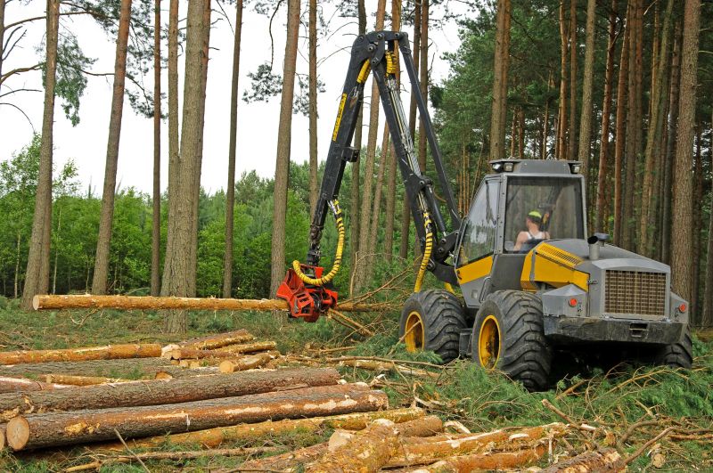 Forestry Clearing detail