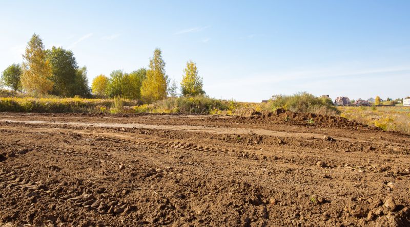 Land Clearing