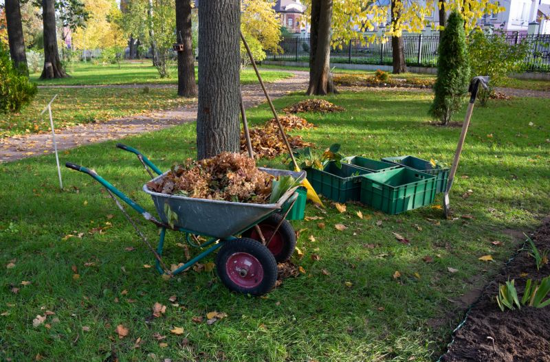 Site Clearing Service