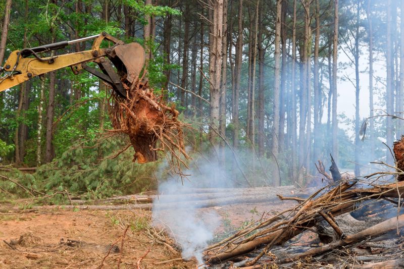 Site Clearing Service
